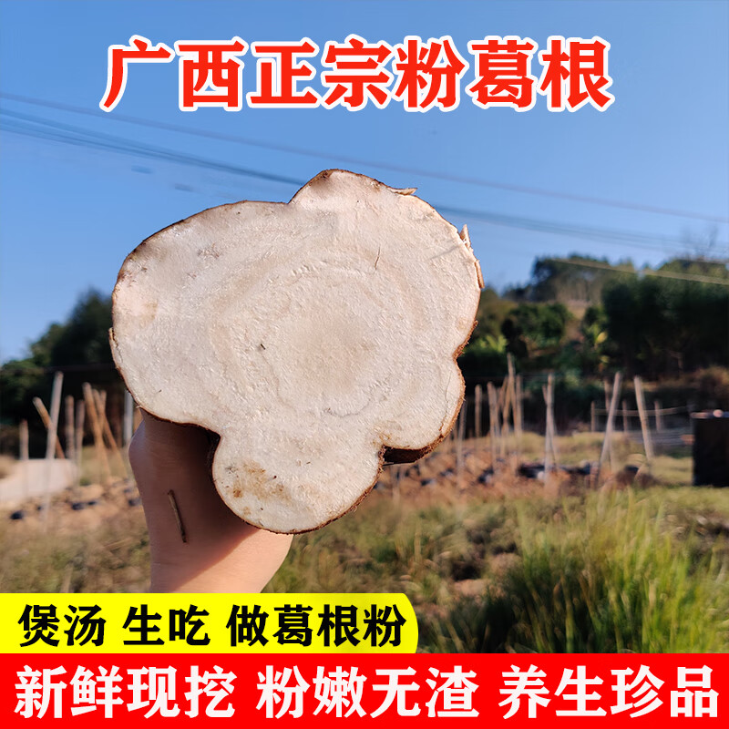 葛根新鲜广西和平粉葛无渣现挖大山葛薯广东煲汤野生5斤