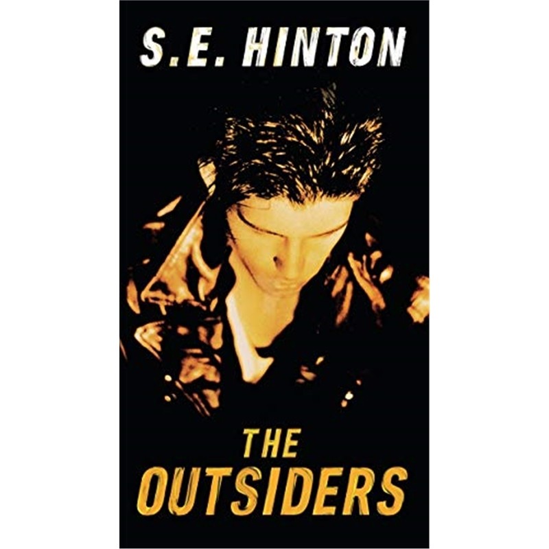 现货 The Outsiders 局外人英文原版 S.E.Hinton 常青藤国际大奖小说追逐金色的少年 苏珊埃洛伊斯欣顿青少年