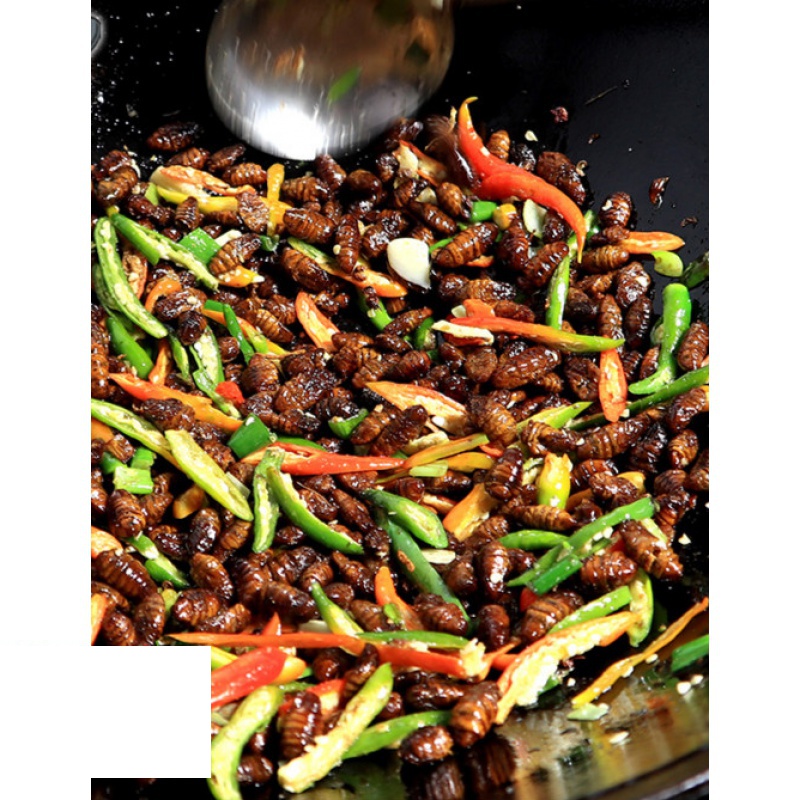 虎钢馋辣椒炒蚕蛹 熟食五香小黄蛹蚕蛹子高蛋白下饭菜 徐州邳州山东