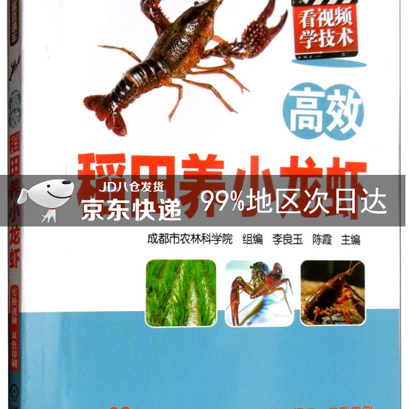 高效稻田养小龙虾/高效养殖致富直通车