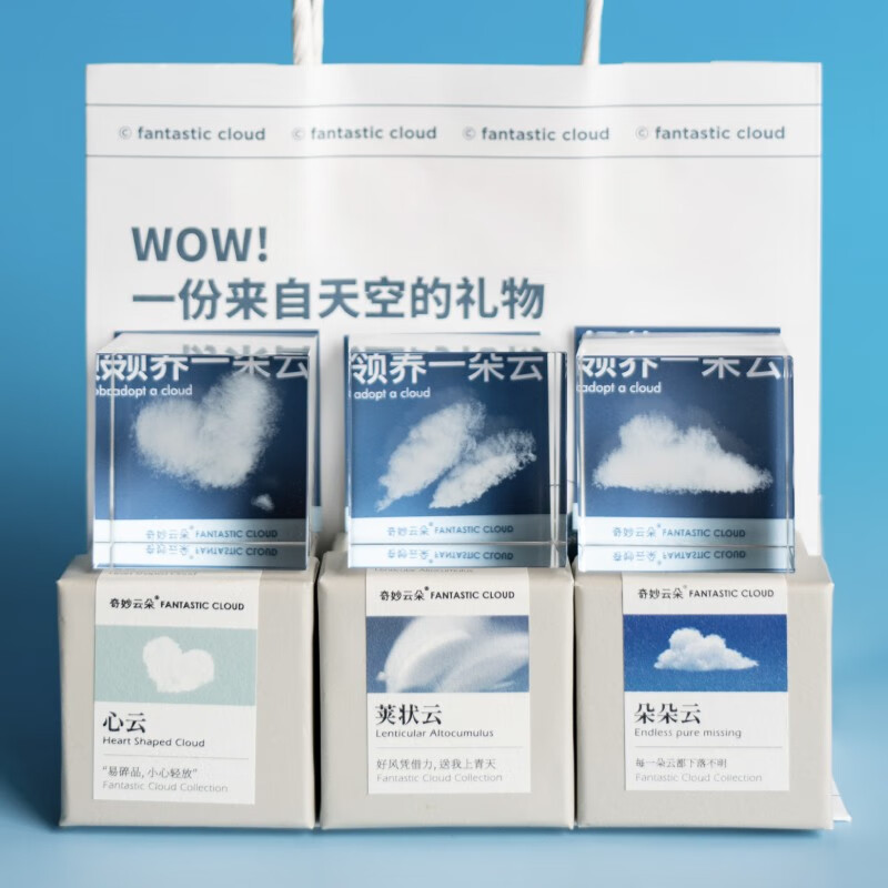 星舵手工生日礼物送女朋友闺蜜ins风邹鑫创意小众开学季教师节礼物zp 朵朵云立方 4cm