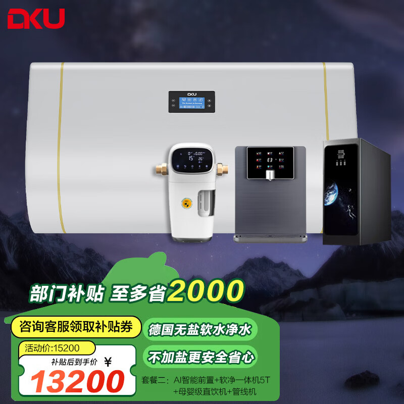 DKU 德国 中央软水机无盐型 净水软水一体机 家用全屋净水器 中央净水系统 直饮净水机 软化水设备 定制套餐二【5T/H】