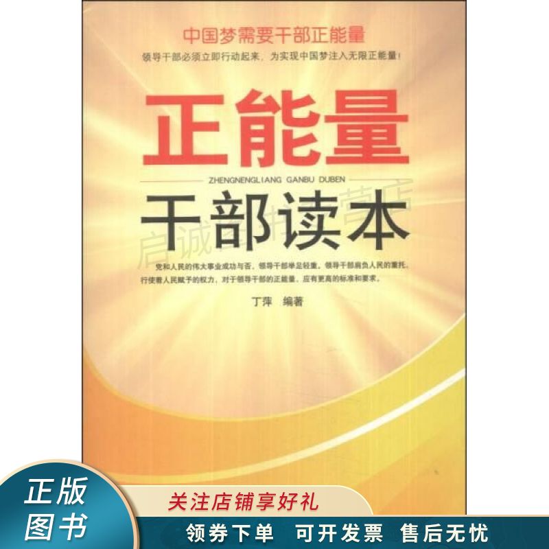 正能量干部读本 丁萍