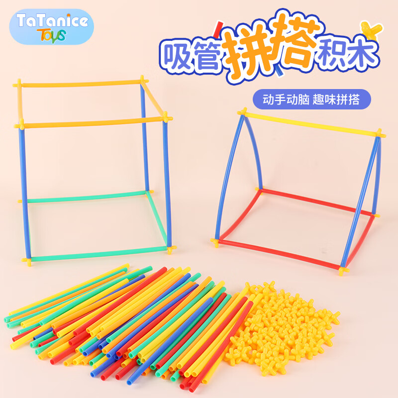 TaTanice儿童吸管积木管道拼插搭建房子聪明棒幼儿园大班桌面玩具生日礼物