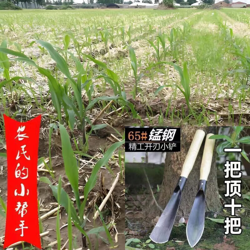 小铲子挖土种菜神器锰钢种花养花种菜工具挖野菜花卉除草 【尖铲+尖铲】2件 小铲子