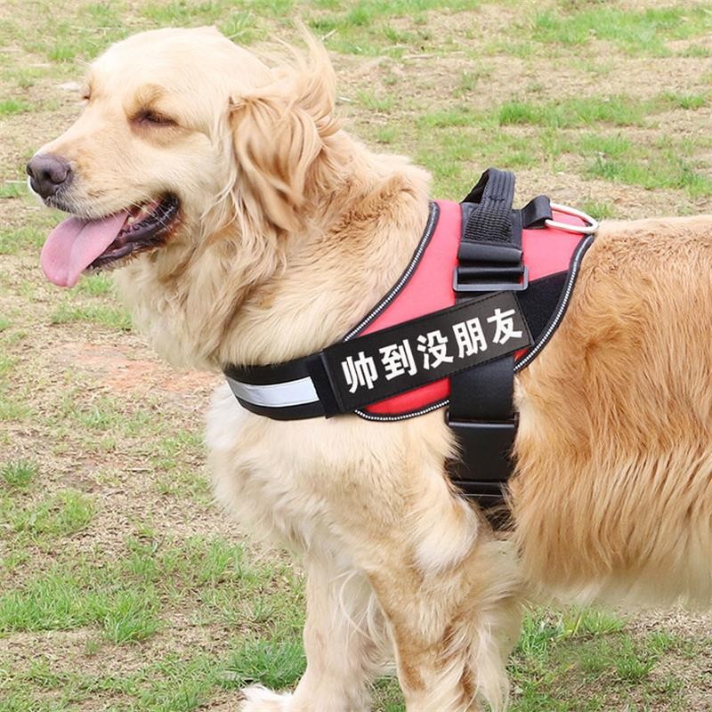宠德多狗绳牵引绳狗狗牵引绳狗链遛狗绳大型犬中小型犬k9胸背带魔术贴