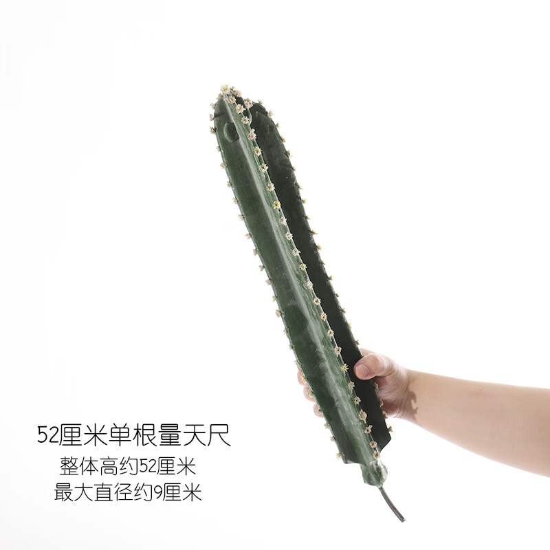 秋颖北欧仿真仙人柱量天尺盆栽假绿植仙人掌热带植物店铺橱窗装饰摆件