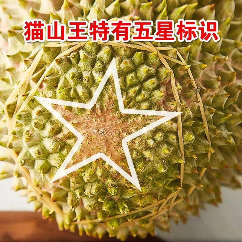 振亿沭d200黑刺榴莲马来西亚稀有品种高山树熟 榴莲报恩榴莲 d197树熟