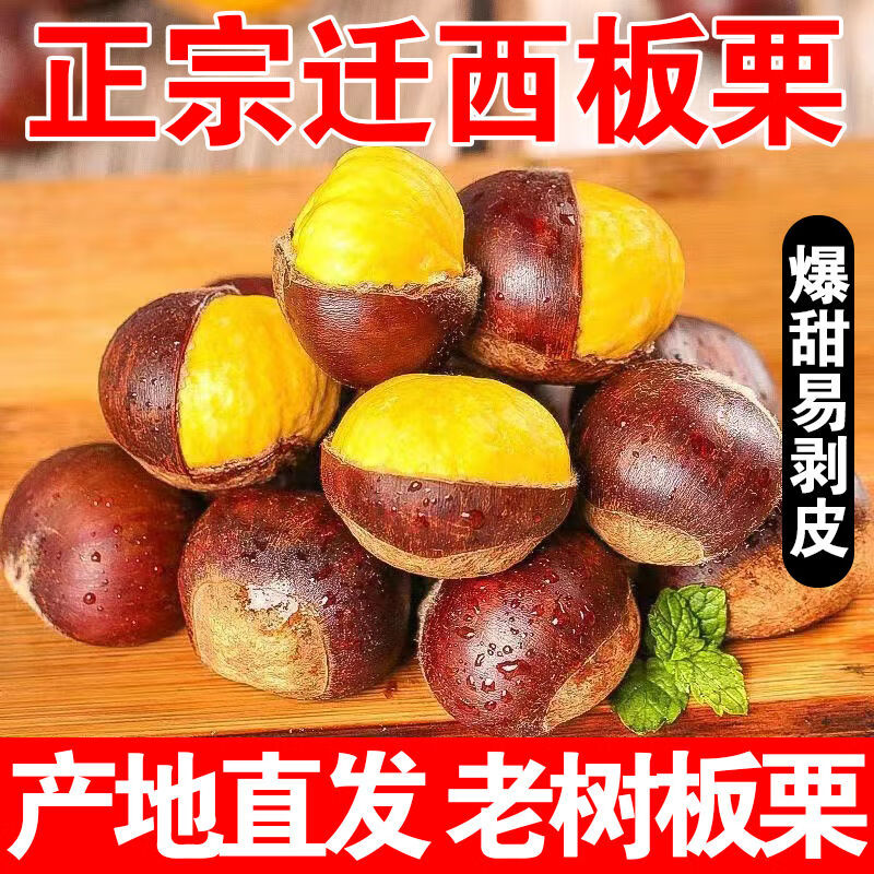 小博农场正宗迁西板栗生板栗25年新货精品 唐山原产糖炒栗子油栗生鲜蔬菜 2斤大果