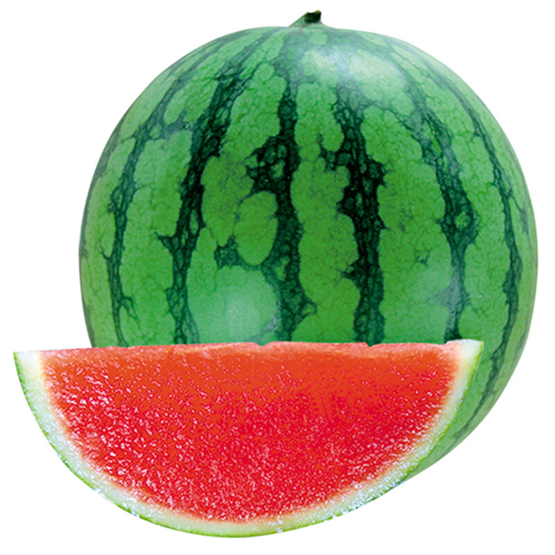 细辛农科院京研西瓜种子京欣京美甜王大西瓜麒麟瓜无籽彩瓤小西瓜种籽