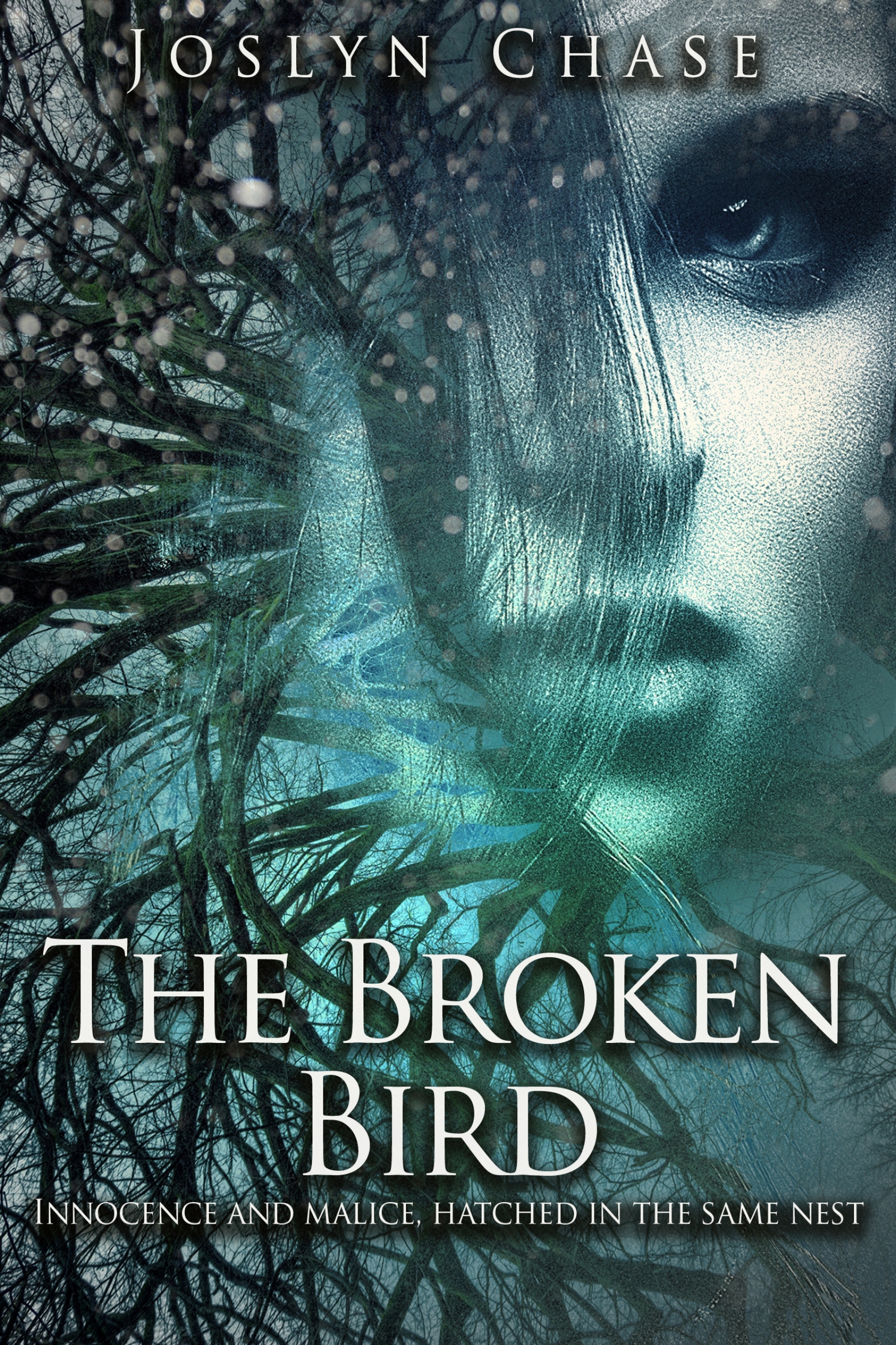 the broken bird: innocence and malice, hatched in the same nest