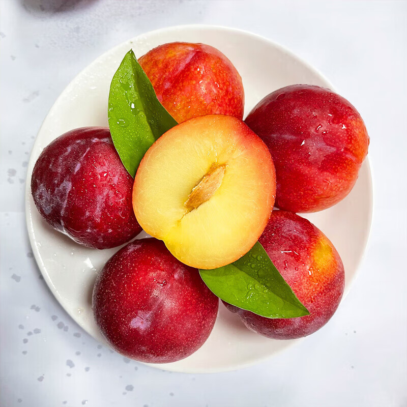 俏农优选 智利珍珠红李5斤 新鲜水果脆甜多汁果香浓郁应季进口李子