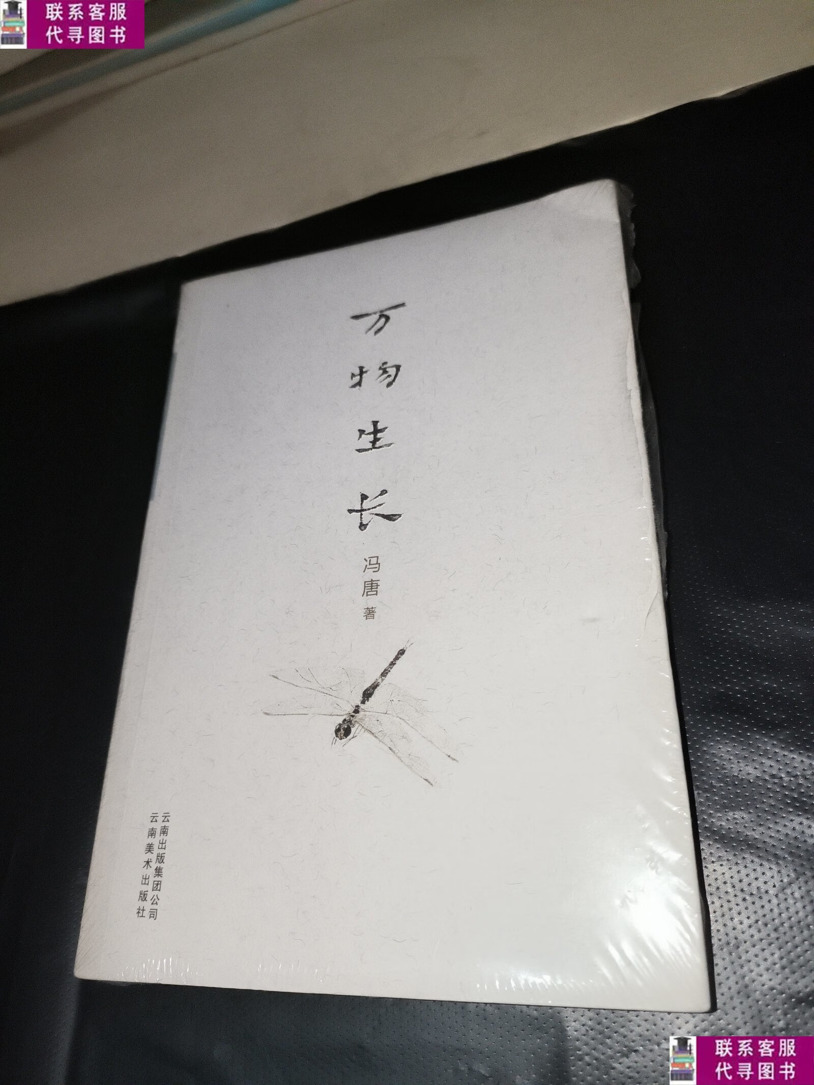 【二手9成新】万物生长 /冯唐 云南美术出版社