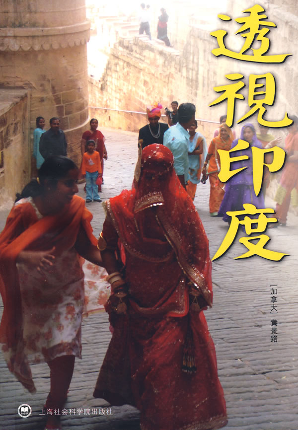 透视印度 【正版图书，放心购买】