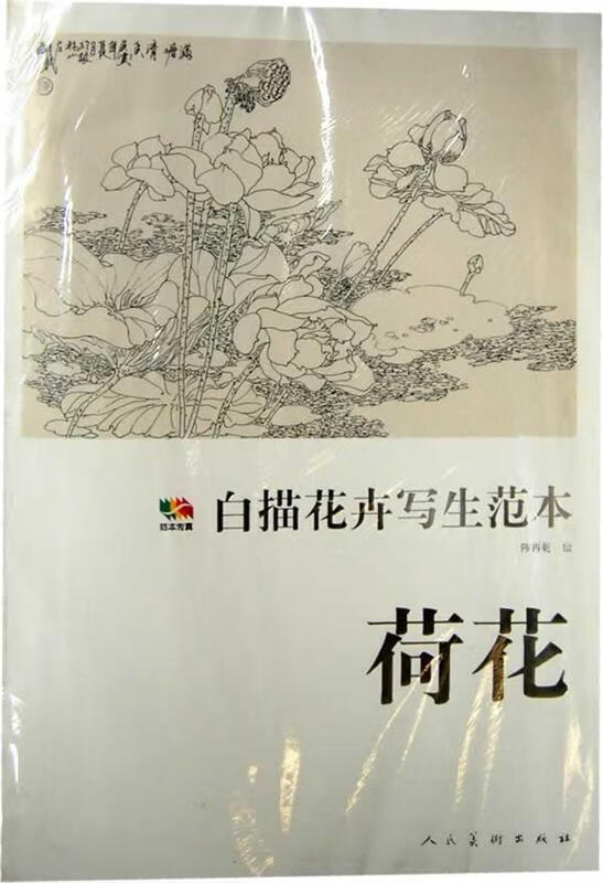 范本传真 白描花卉写生范本荷花