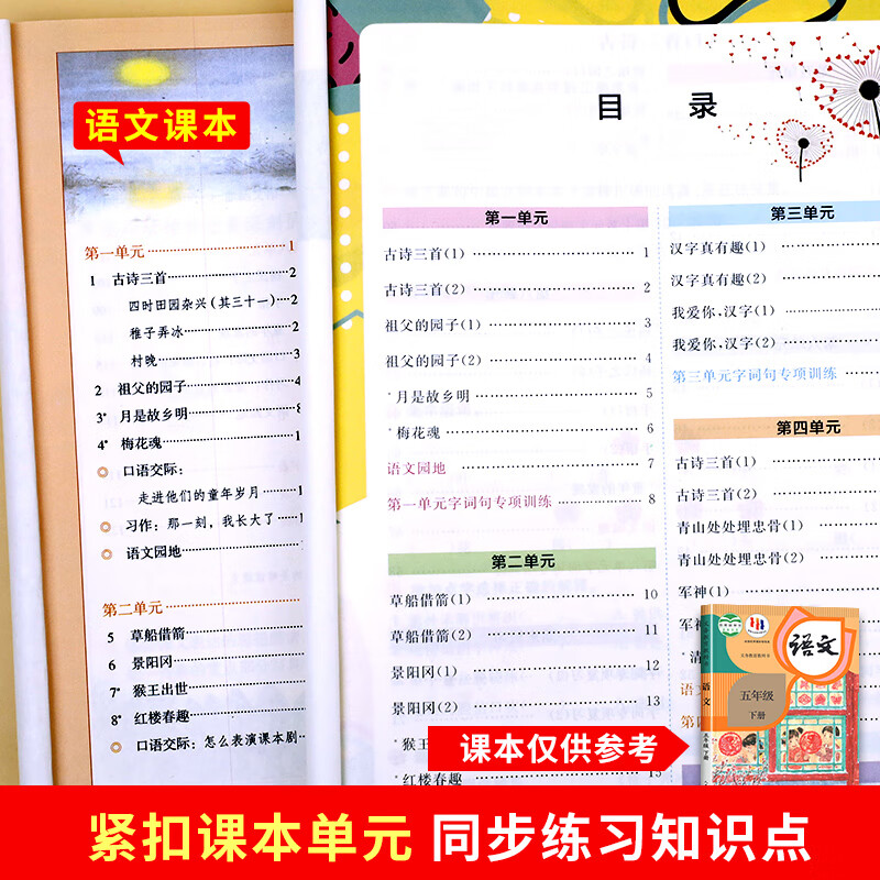 语文默写能手五年级上下册看拼音写词语生字注音专项训练 小学生积累与默写全能人教版课堂同步练习册词语大 共2本 上册+下册默写全能 五年级上