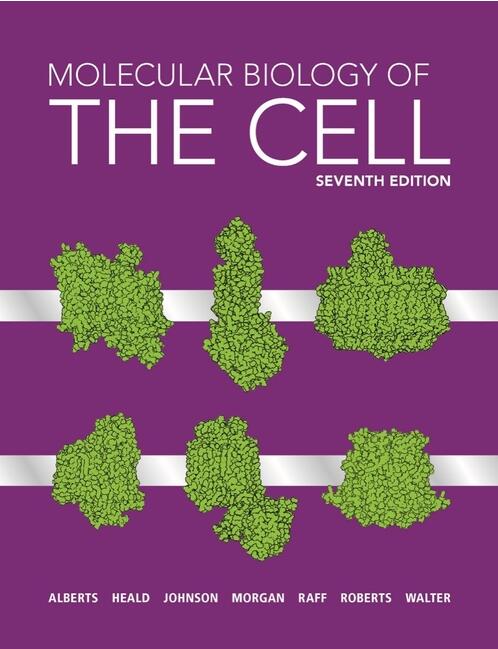 现货 Molecular Biology of the Cell Seventh Edition 细胞分子生物学