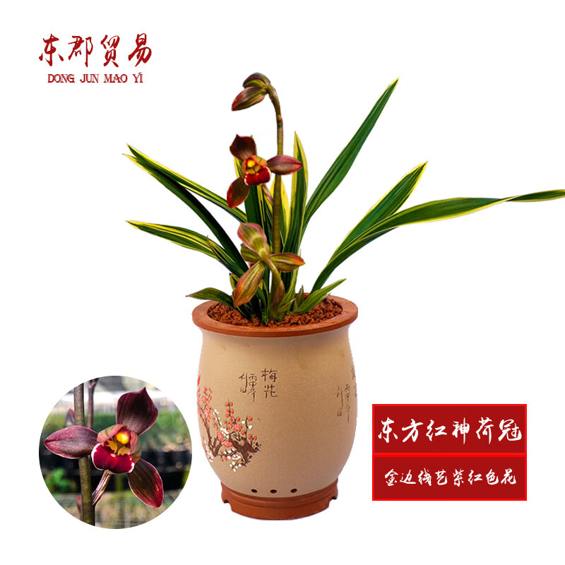 红覆轮 相关京东优惠商品潜力降序 价格图片品牌优惠券 虎窝购 红覆轮 相关京东优惠商品潜力降序 价格图片品牌优惠券 虎窝购