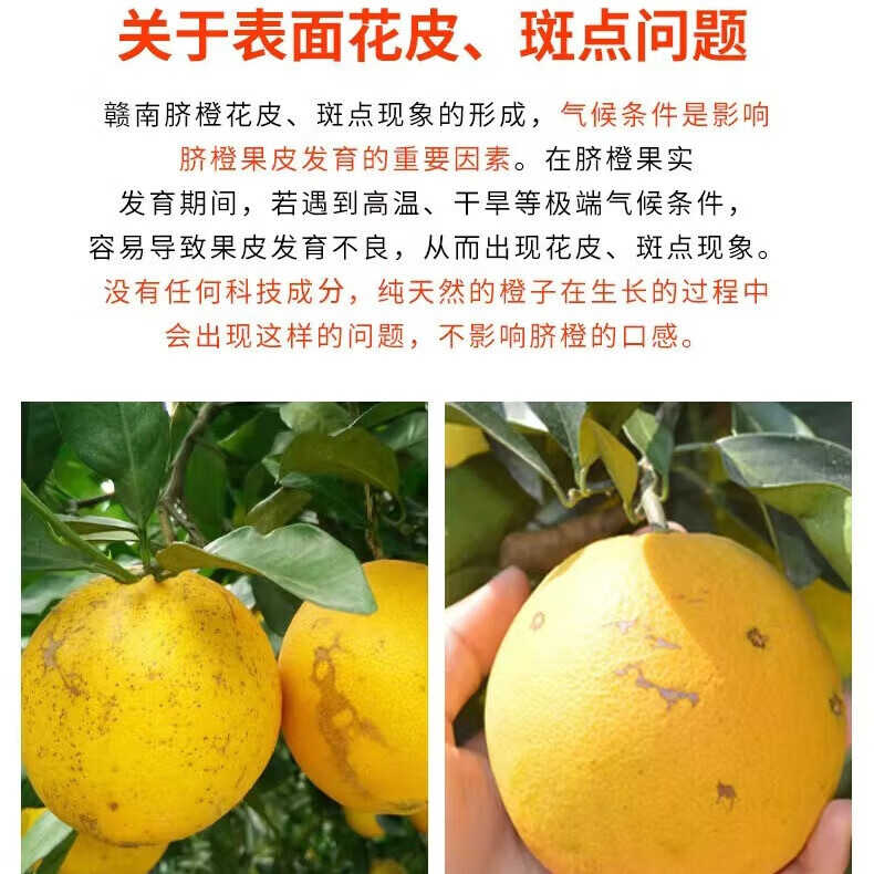 玖原农珍 赣南脐橙新鲜橙子含箱10斤净重9斤优选果150-300g 年货水果礼盒