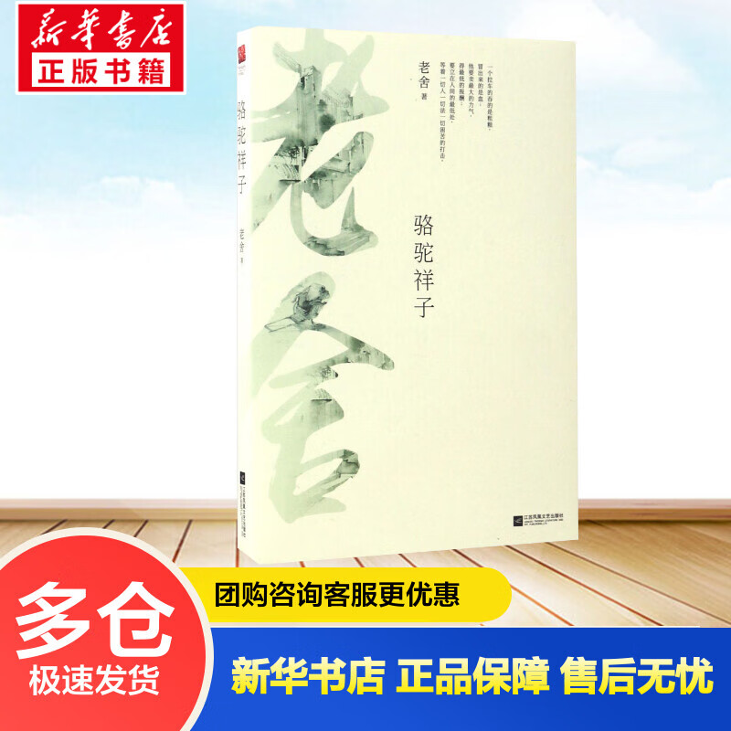 骆驼祥子 老舍  书籍