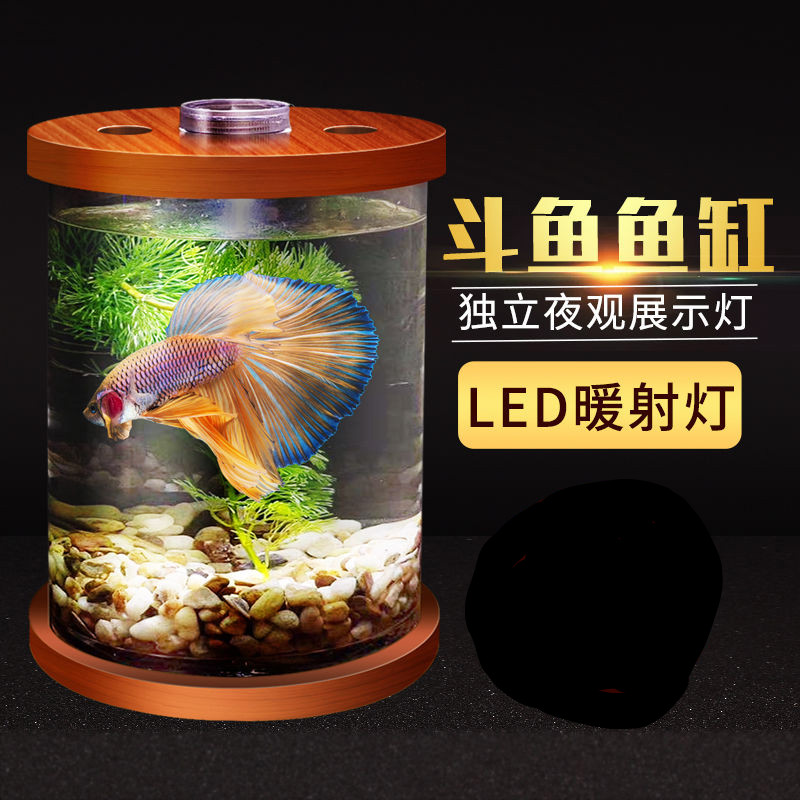 生态鱼缸 灯科鱼小型观赏鱼缸LED鱼缸暖光灯斗鱼鱼缸夜观展示鱼缸 大号(高200MM宽100MM)