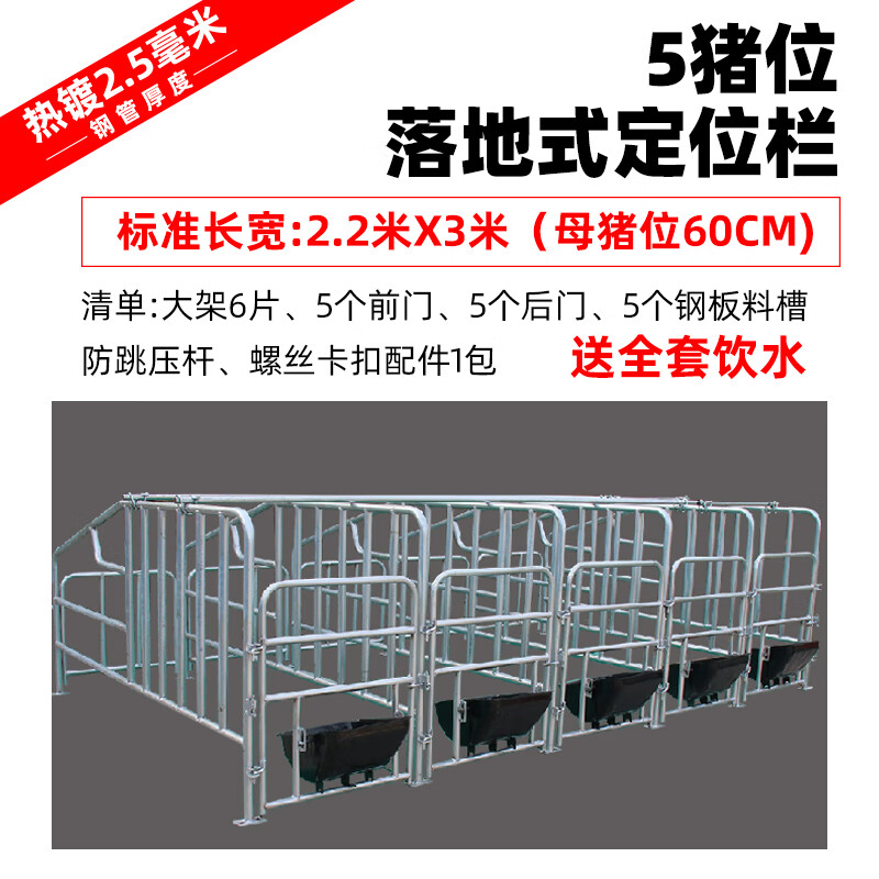 母猪定位栏母猪产床落地式加厚10位猪用限位栏养殖设备 送货上门25热
