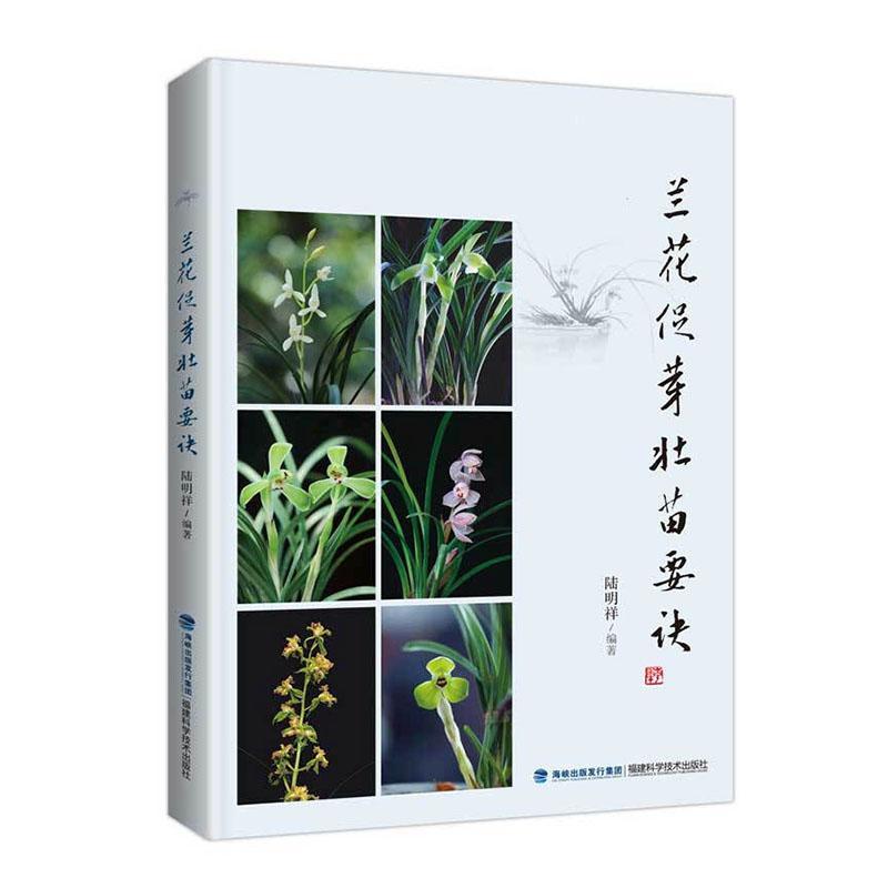 兰花促芽壮苗要诀/陆明祥/家居/9787533560072