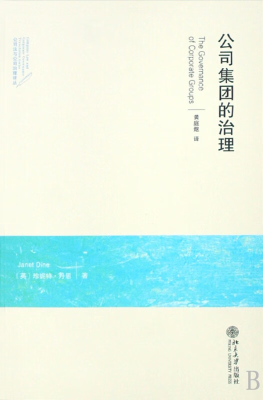 公司集团的治理/公司法与公司治理译丛