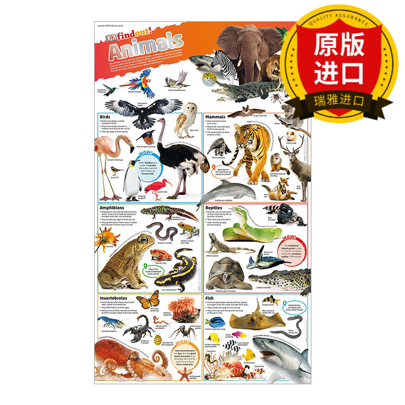 animals poster dk小发现 动物 科普学习挂图海报 瑞雅进口原版