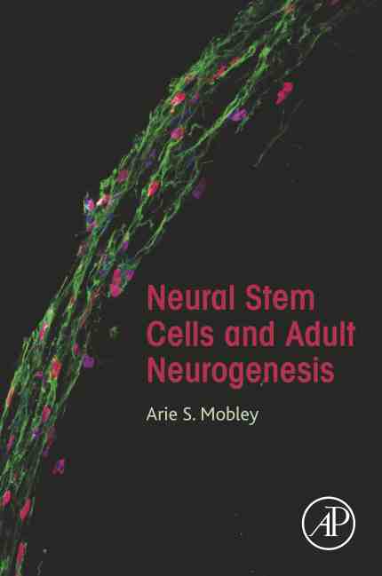 预售 按需印刷 neural stem cells and adult neurogenesis