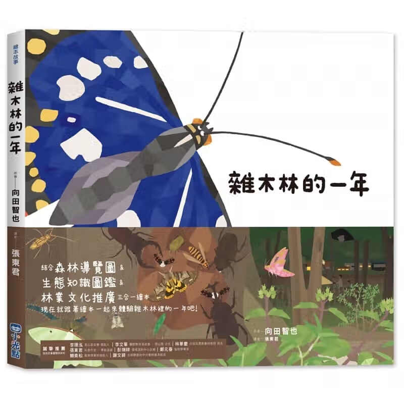 预售 向田智也里山的一年绘本2杂木林的一年小光点台版原版书籍