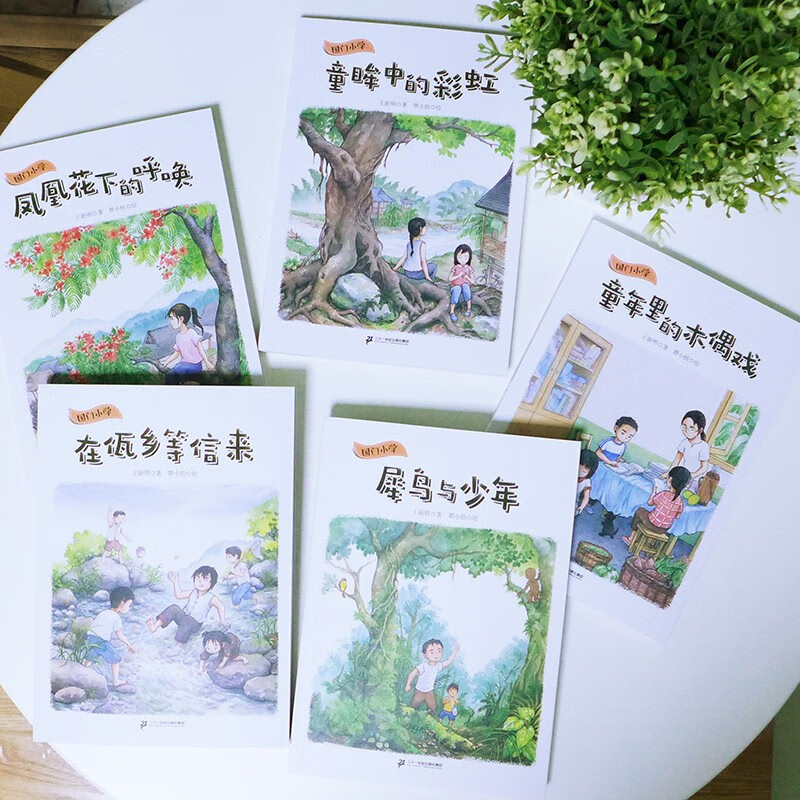国门小学系列 全5册 佤乡等信来犀鸟与少年凤凰花下的呼唤 童眸中的彩虹童年里的木偶戏童书节儿童节 二十一世纪出版社