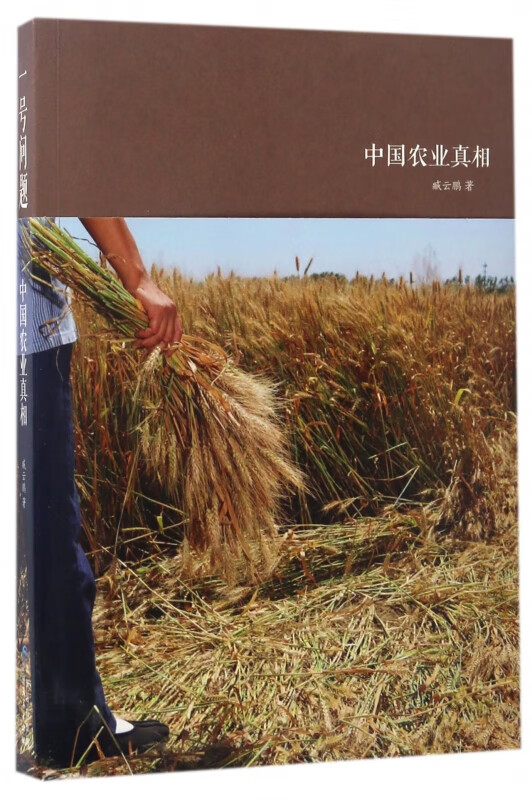 中国农业真相(一号问题)