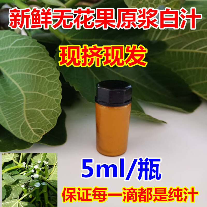 倾晨新鲜无花果白汁原浆乳液无花果茎枝叶汁液现挤现发5ml 5g