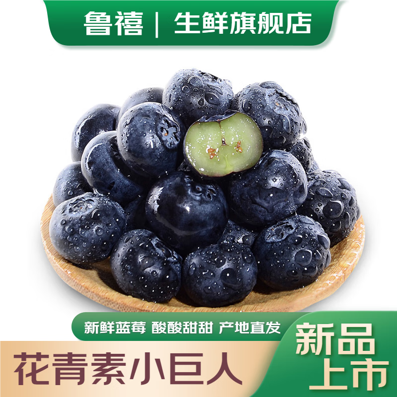 鲁禧蓝莓 新鲜时令生鲜 现摘现发孕妇水果 蓝莓鲜果送女朋友 精选蓝莓(单果15mm+)100g*6盒