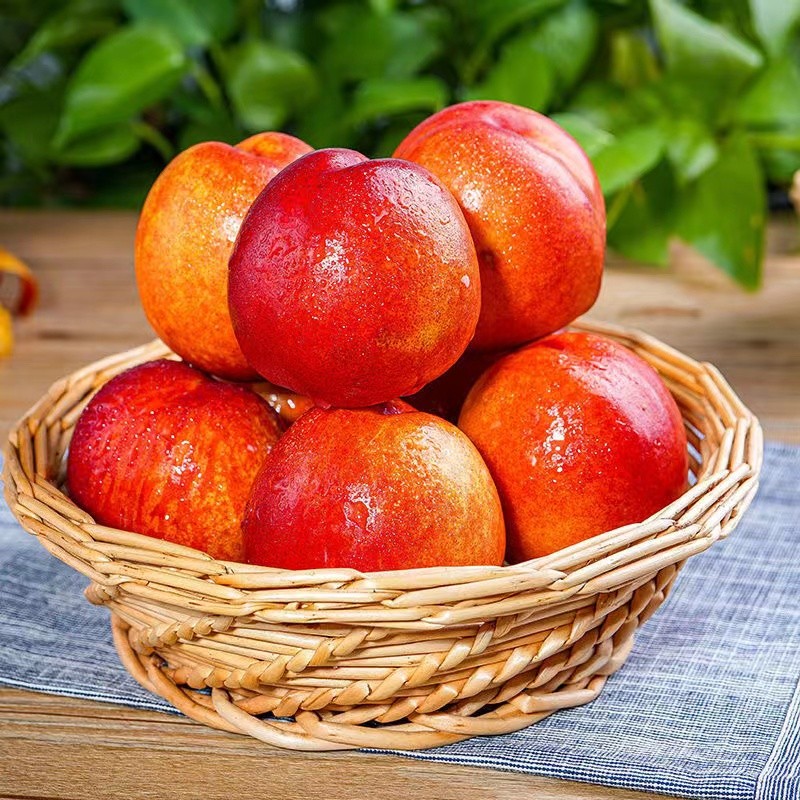 拍5件 黄心油桃脆桃应季新鲜孕妇水果黄肉油桃子整箱带箱 品质大果 1