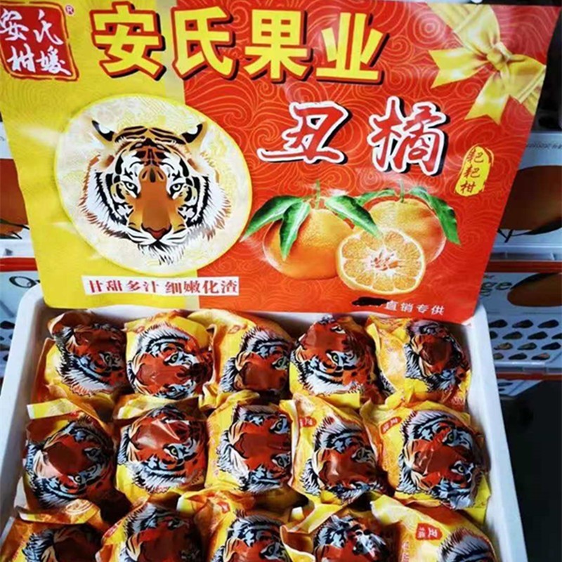 善淘鲜缘虎头丑橘安氏柑媛粑粑柑不知火甜口丑橘 8斤装带箱毛重