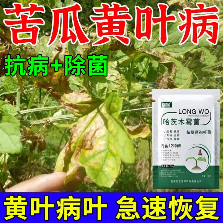 垄颖苦瓜黄叶病专用肥除菌剂病毒病蔓枯病叶枯病白粉病水溶叶面肥料