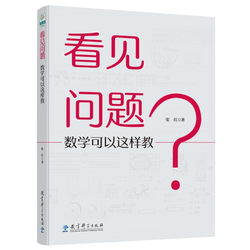看见问题：数学可以这样教