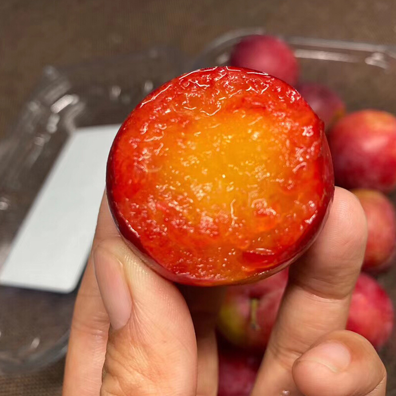 新鲜李子当季水果小红布林新鲜红心李子樱桃李420g一盒孕妇水果 生鲜