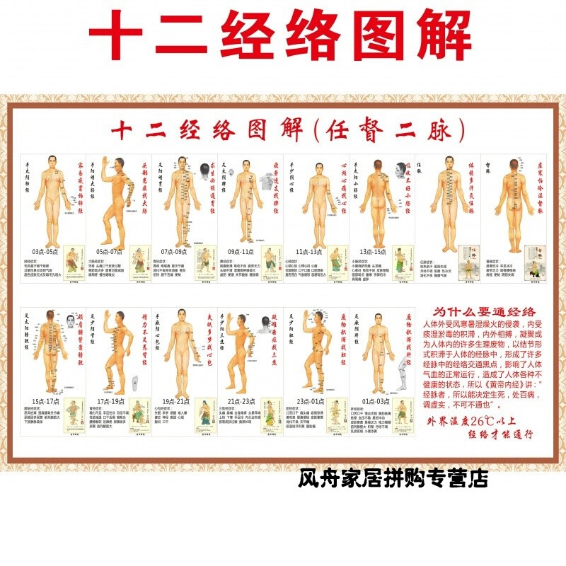 人体十二经络穴位图解任督二脉挂图中医养生穴位挂图海报 相纸 36寸