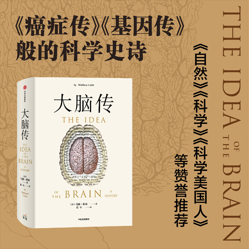 大脑传 马修·科布著 中信