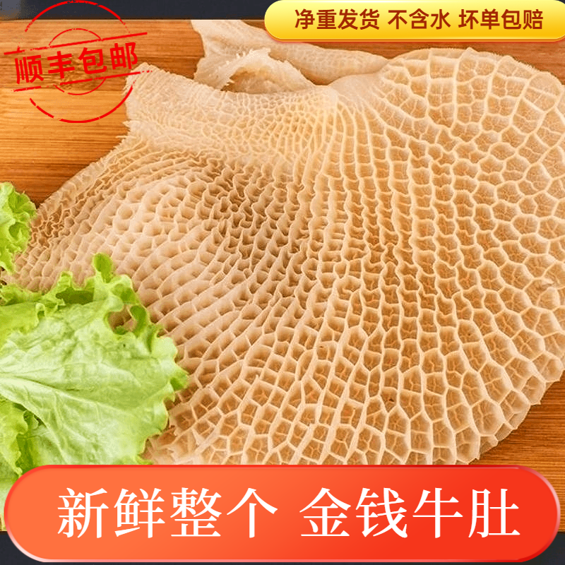 赶牛人大片毛肚新鲜 千层肚 黄牛百叶牛杂金钱肚 叶片 商用火锅冒菜食材 精品蜂窝牛肚5斤 新鲜日期（发顺丰快递）