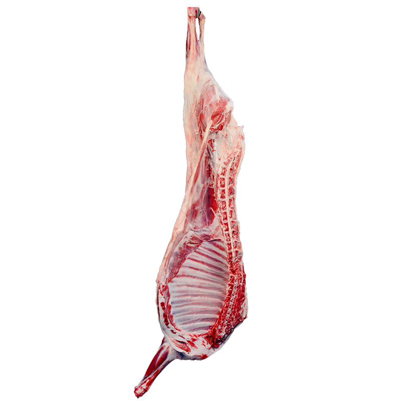 ��̲������ ����̲������Ʒ��ȯ����������Ҹ�ȯ13������ֻ