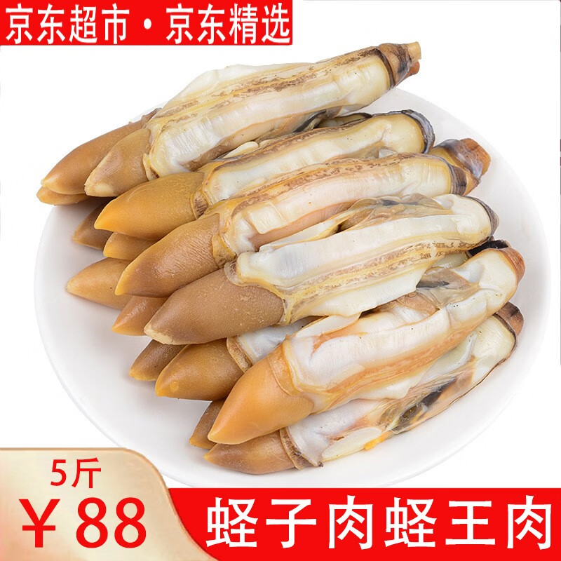 佰泉渔村蛏王肉竹蛏子手剥无沙海鲜水产贝类 1000g 1000g(2斤)