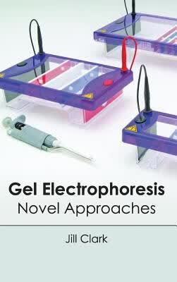预订 Gel Electrophoresis: Novel Approaches