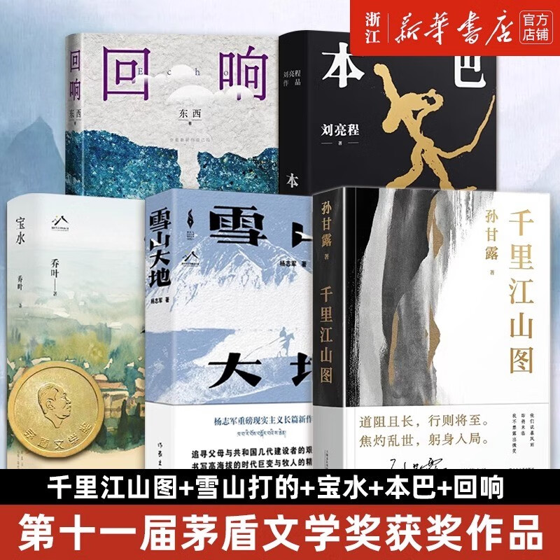 【第十一届茅盾文学奖作品集自选】 雪山大地 宝水 本巴 回响 千里江山图 当代文学散文随笔小说书 预售 第十一届茅盾文学奖作品集 共5册怎么样,好用不?
