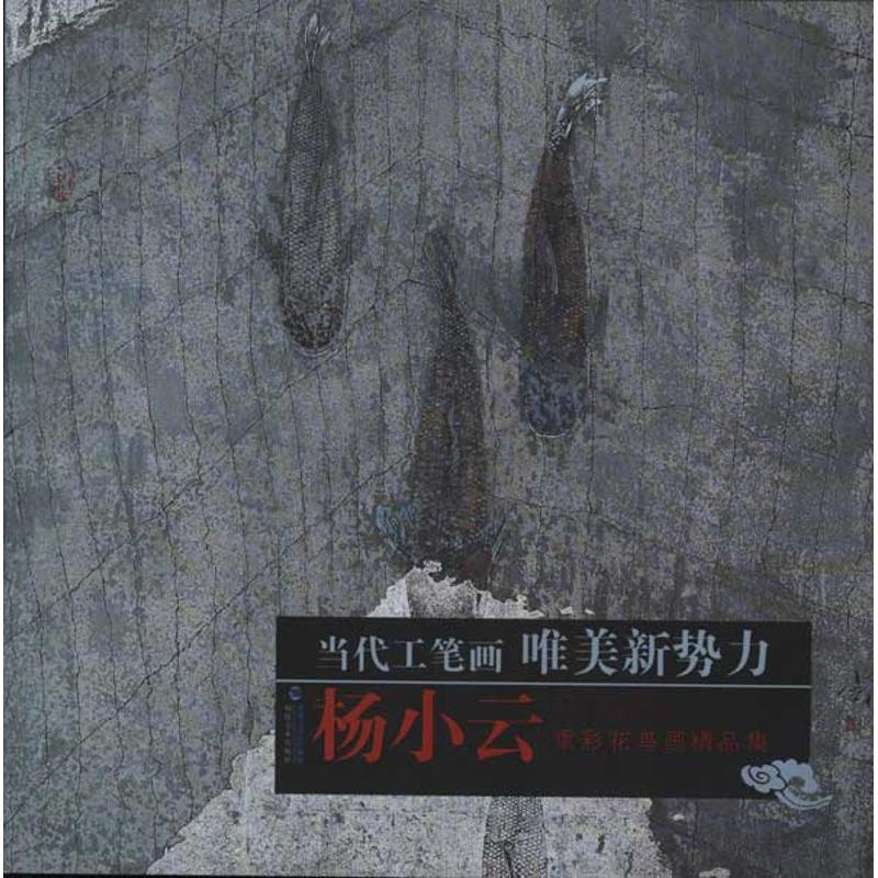 杨小云重彩花鸟画精品集 杨小云 作 书籍