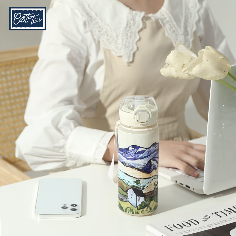 TAEFAIR山景油画弹跳直饮杯茶水分离儿童成人户外便携Tritan高颜值水杯 C-山景小屋Tritan弹跳杯650ml