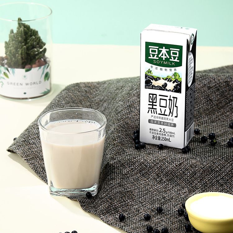 豆本豆豆奶250ml原味豆奶芝麻黑豆奶植物蛋白饮品早餐奶整箱礼盒 250mlX20盒芝麻黑豆奶-